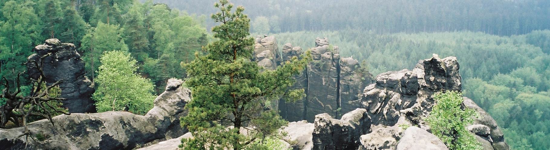 Die Kamenice im böhmischen Teil des Nationalparks